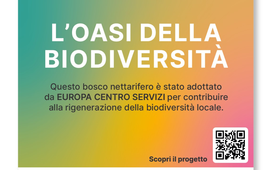 Ecosostenibilità festiva: Europa Centro Servizi celebra la biodiversità con l’adozione di 50 alberi in Sicilia