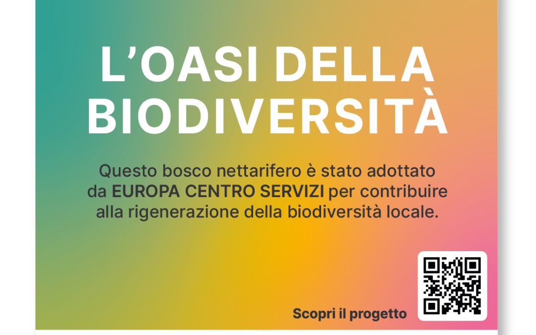 Europa Centro Servizi celebra le festività con ecosostenibilità: 50 alberi adottati in Sicilia per la biodiversità. 50 alberi piantumati, 17 kg di nettare, 1397 kg di CO2 immagazzinata. Un passo per un mondo migliore!